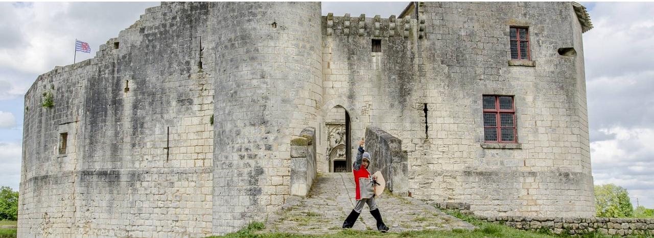 Chateau de Saint Jean d'Angle